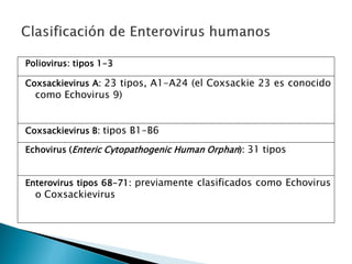Poliovirus: tipos 1-3
Coxsackievirus A: 23 tipos, A1-A24 (el Coxsackie 23 es conocido
como Echovirus 9)
Coxsackievirus B: tipos B1-B6
Echovirus (Enteric Cytopathogenic Human Orphan): 31 tipos
Enterovirus tipos 68-71: previamente clasificados como Echovirus
o Coxsackievirus
 