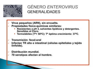  Virus pequeños (ARN), sin envuelta.
 Propiedades físico-químicas similares:
 Resistentes a pH 3, solventes lipídicos y detergentes.
Sensibles al Cloro.
 Termolábiles (Tª> 50ºC); Tª óptima crecimiento: 37ºC.
 Transmisión: fecal-oral
 Infectan TR alto e intestinal (células epiteliales y tejido
linfoide).
 Distribución mundial.
 70 serotipos afectan al hombre.
 