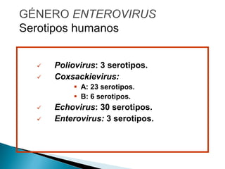  Poliovirus: 3 serotipos.
 Coxsackievirus:
 A: 23 serotipos.
 B: 6 serotipos.
 Echovirus: 30 serotipos.
 Enterovirus: 3 serotipos.
 