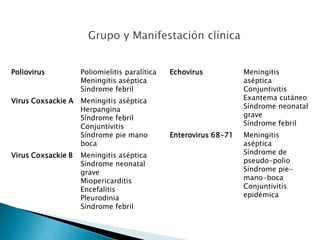 Poliovirus Poliomielitis paralítica
Meningitis aséptica
Síndrome febril
Virus Coxsackie A Meningitis aséptica
Herpangina
Síndrome febril
Conjuntivitis
Síndrome pie mano
boca
Virus Coxsackie B Meningitis aséptica
Síndrome neonatal
grave
Miopericarditis
Encefalitis
Pleurodinia
Síndrome febril
Echovirus Meningitis
aséptica
Conjuntivitis
Exantema cutáneo
Síndrome neonatal
grave
Síndrome febril
Enterovirus 68-71 Meningitis
aséptica
Síndrome de
pseudo-polio
Síndrome pie-
mano-boca
Conjuntivitis
epidémica
 