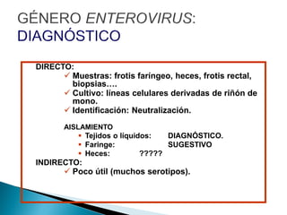 DIRECTO:
 Muestras: frotis faríngeo, heces, frotis rectal,
biopsias….
 Cultivo: líneas celulares derivadas de riñón de
mono.
 Identificación: Neutralización.
AISLAMIENTO
 Tejidos o líquidos: DIAGNÓSTICO.
 Faringe: SUGESTIVO
 Heces: ?????
INDIRECTO:
 Poco útil (muchos serotipos).
 