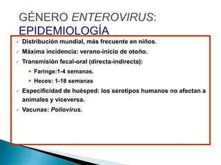  Distribución mundial, más frecuente en niños.
 Máxima incidencia: verano-inicio de otoño.
 Transmisión fecal-oral (directa-indirecta):
 Faringe:1-4 semanas.
 Heces: 1-18 semanas
 Especificidad de huésped: los serotipos humanos no afectan a
animales y viceversa.
 Vacunas: Poliovirus.
 