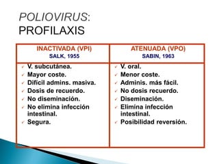 INACTIVADA (VPI)
SALK, 1955
 V. subcutánea.
 Mayor coste.
 Difícil admins. masiva.
 Dosis de recuerdo.
 No diseminación.
 No elimina infección
intestinal.
 Segura.
ATENUADA (VPO)
SABIN, 1963
 V. oral.
 Menor coste.
 Adminis. más fácil.
 No dosis recuerdo.
 Diseminación.
 Elimina infección
intestinal.
 Posibilidad reversión.
 