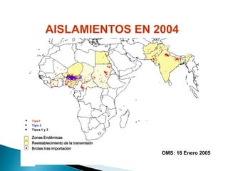 AISLAMIENTOS EN 2004
Tipo1
Tipo 3
Tipos 1 y 3
OMS: 18 Enero 2005
Zonas Endémicas
Reestablecimiento de la transmisión
Brotes tras importación
 