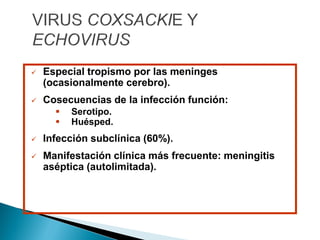  Especial tropismo por las meninges
(ocasionalmente cerebro).
 Cosecuencias de la infección función:
 Serotipo.
 Huésped.
 Infección subclínica (60%).
 Manifestación clínica más frecuente: meningitis
aséptica (autolimitada).
 