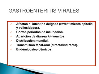  Afectan al intestino delgado (revestimiento epitelial
y vellosidades).
 Cortos periodos de incubación.
 Aparición de diarrea +/- vómitos.
 Distribución mundial.
 Transmisión fecal-oral (directa/indirecta).
 Endémicos/epidémicos.
 