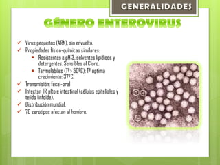  Virus pequeños (ARN), sin envuelta.
 Propiedades físico-químicas similares:
 Resistentes a pH 3, solventes lipídicos y
detergentes. Sensibles al Cloro.
 Termolábiles (Tª> 50ºC); Tª óptima
crecimiento: 37ºC.
 Transmisión: fecal-oral
 Infectan TR alto e intestinal (células epiteliales y
tejido linfoide).
 Distribución mundial.
 70 serotipos afectan al hombre.
 