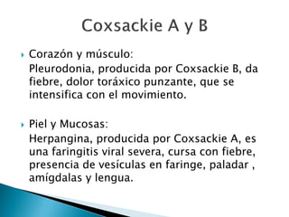  Corazón y músculo:
Pleurodonia, producida por Coxsackie B, da
fiebre, dolor toráxico punzante, que se
intensifica con el movimiento.
 Piel y Mucosas:
Herpangina, producida por Coxsackie A, es
una faringitis viral severa, cursa con fiebre,
presencia de vesículas en faringe, paladar ,
amígdalas y lengua.
 