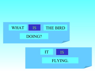WHAT     IS     THE BIRD

       DOING?


                IT      IS
                     FLYING.
 