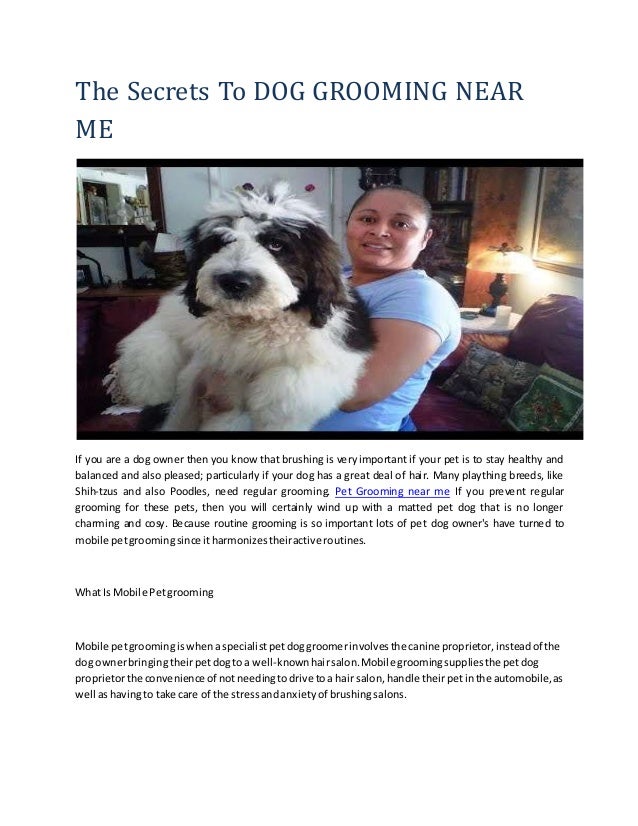 near me dog grooming