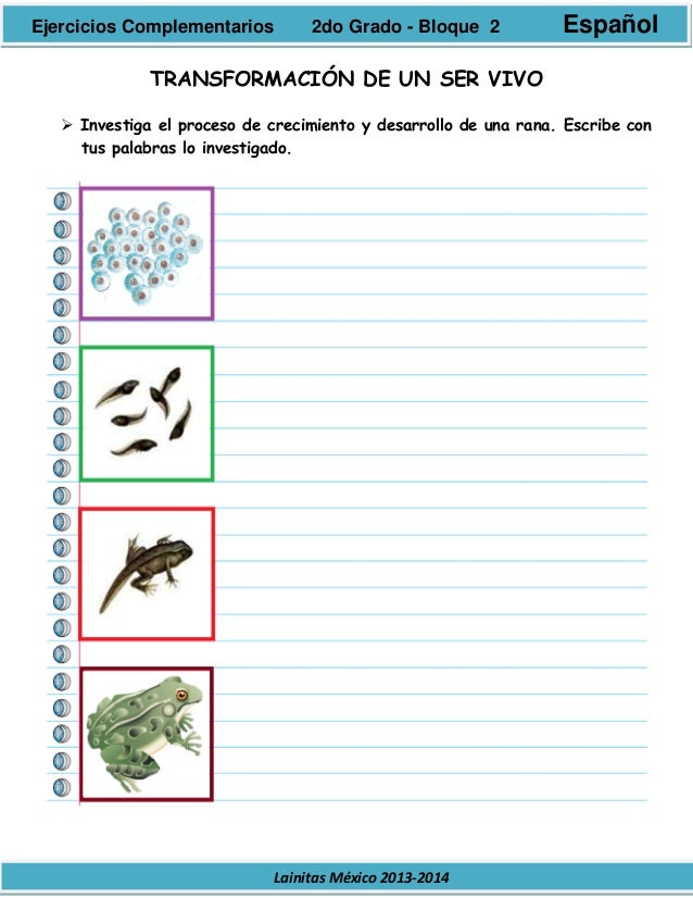 2do grado bloque 2 ejercicios complementarios