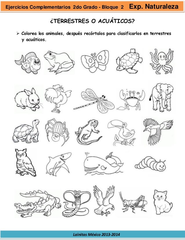 2do grado bloque 2 ejercicios complementarios