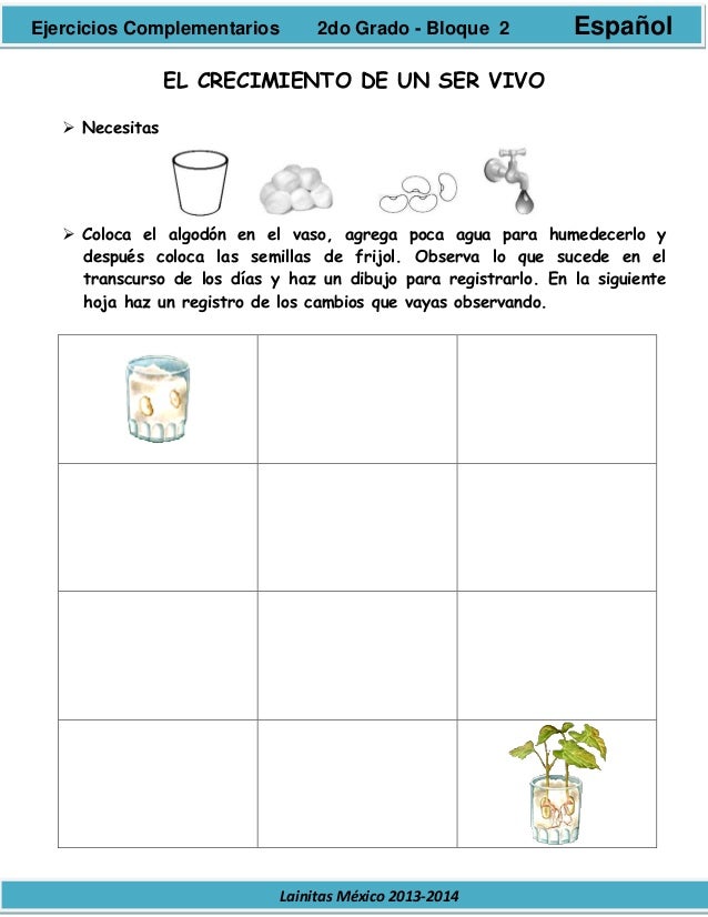 2do grado bloque 2 ejercicios complementarios