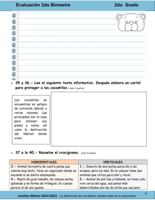 Evaluación 2do Bimestre 2do Grado
Lainitas México 2014-2015 La diferencia del verdadero cambio está en tu educación.
6
 35 y 36.- Lee el siguiente texto informativo. Después elabora un cartel
para proteger a los cocodrilos. (valor 2 puntos)
Los cocodrilos se
encuentran en peligro
de extinción debido a
varias razones. Las
principales son la caza
para obtener sus
pieles y carne, así
como la destrucción
del hábitat donde
viven.
 37 a la 40.- Resuelve el crucigrama. (valor 4 puntos)
HORIZONTALES VERTICALES
3.- Animal terrestre de cuatro patas que
camina muy lento, tiene un caparazón donde se
esconde si se siente amenazada.
4.- Reptil de gran tamaño, de cabeza ancha,
aplanada y en forma de triángulo. Su cuerpo
parece al de una iguana.
1.- Insecto de seis patas parecido a las
avispas, pero sin alas. En la cabeza tiene dos
antenas que utiliza para oler y tocar.
2.- Animal de piel lisa y húmeda, no tiene cola,
vive cerca del agua, sus patas más
desarrolladas son las de atrás que usa para
 