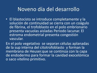 Noveno día del desarrollo 
• El blastocisto se introduce completamente y la 
solución de continuidad se cierra con un coágulo 
de fibrina, el trofoblasto en el polo embrionario 
presenta vacuolas aisladas Periodo lacunar. El 
estroma endometrial presenta congestión 
vascular. 
En el polo vegetativo se separan células aplanadas 
de la sup interna del citotrofoblasto y forman la 
membrana de Heuser.que se continúa con la capa 
de endodermo para formar la cavidad exocelómica 
o saco vitelino primitivo. 
 