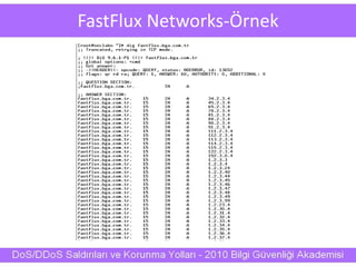 FastFlux Networks-Örnek
 