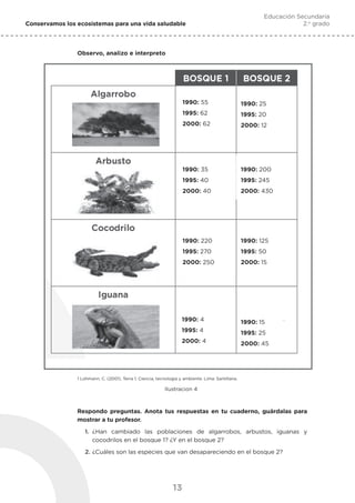 13
Conservamos los ecosistemas para una vida saludable
Educación Secundaria
2.o
grado
Observo, analizo e interpreto
1 Lohmann, C. (2001). Terra 1, Ciencia, tecnología y ambiente. Lima: Santillana.
Ilustracion 4
1990: 55
1995: 62
2000: 62
1990: 35
1995: 40
2000: 40
1990: 220
1995: 270
2000: 250
1990: 4
1995: 4
2000: 4
1990: 25
1995: 20
2000: 12
1990: 200
1995: 245
2000: 430
1990: 125
1995: 50
2000: 15
1990: 15
1995: 25
2000: 45
Educación Secundaria
2.o
grado
Respondo preguntas. Anota tus respuestas en tu cuaderno, guárdalas para
mostrar a tu profesor.
1.	 ¿Han cambiado las poblaciones de algarrobos, arbustos, iguanas y
cocodrilos en el bosque 1? ¿Y en el bosque 2?
2.	¿Cuáles son las especies que van desapareciendo en el bosque 2?
 
