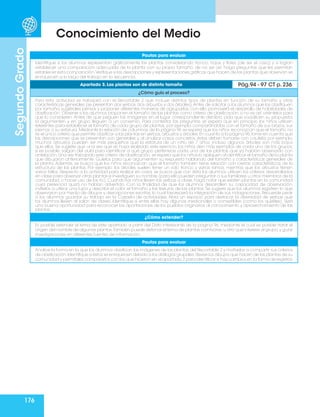 176
Segundo
Grado
Conocimiento del Medio
Pautas para evaluar
Identifique si los alumnos representan gráficamente las plantas considerando tronco, hojas y flores (de ser el caso) y si logran
establecer una comparación adecuada de la planta con su propio tamaño; de no ser así, haga preguntas que les permitan
establecer esta comparación.Verifique si las descripciones y representaciones gráficas que hacen de las plantas que observan se
enriquecen a lo largo del trabajo en la secuencia.
Apartado 3. Las plantas son de distinto tamaño Pág.94 - 97 CT p. 236
¿Cómo guío el proceso?
Para esta actividad se trabajará con el Recortable 2 que incluye distintos tipos de plantas en función de su tamaño y otras
características generales (se presentan dos yerbas,dos arbustos y dos árboles).Antes de solicitar a los alumnos que las clasifiquen
por tamaño, sugiérales pensar y proponer diferentes maneras de agruparlas; con ello promoverá el desarrollo de habilidades de
clasificación. Observe si los alumnos proponen el tamaño de las plantas como criterio de clasificación; si no es así, oriéntelos para
que lo consideren. Antes de que peguen las imágenes en el lugar correspondiente del libro, pida que socialicen su propuesta,
la argumenten y en grupo lleguen a un consenso. Para contestar las preguntas se espera que en principio los niños utilicen
referentes para establecer el tamaño de cada grupo de plantas, por ejemplo, comparándolas con el tamaño de sus brazos, sus
piernas o su estatura. Mediante la relación de columnas de la página 96 se espera que los niños reconozcan que el tamaño no
es el único criterio que permite clasificar a las plantas en yerbas,arbustos y árboles.En cuanto a la página 96,tome en cuenta que
las descripciones que se presentan son generales y, al analizar casos concretos, éstas deben tomarse con cautela; por ejemplo,
muchos arbustos pueden ser más pequeños que la estatura de un niño de 7 años; incluso algunos árboles son más bajos
que ellos. Se sugiere que una vez que se haya realizado este ejercicio, los niños den más ejemplos de cada uno de los grupos;
si es posible, salgan del aula para identificar a qué grupo pertenece cada una de las plantas que ya habían observado con
antelación.Una vez trabajado este criterio de clasificación,se espera que los niños lo apliquen al identificar el tamaño de la planta
que dibujaron anteriormente. Guíelos para que argumenten su respuesta hablando del tamaño y características generales de
la planta. Además, se busca que los niños reconozcan que el tamaño también tiene relación con ciertas características de la
estructura de las plantas. Por ejemplo: los árboles suelen tener un solo tronco y varias ramas, mientras que los arbustos tienen
varios tallos. Respecto a la actividad para realizar en casa, se busca que con ésta los alumnos utilicen los criterios desarrollados
en clase para observar otras plantas e investiguen su nombre (para ello pueden preguntar a sus familiares u otros miembros de la
comunidad, o hacer uso de las tic). Cuando los niños lleven las yerbas a clase, haga notar que existen plantas en la comunidad
cuya presencia quizá no habían advertido. Con la finalidad de que los alumnos desarrollen su capacidad de observación,
invítelos a utilizar una lupa y describir el color, el tamaño y las texturas de las plantas. Se sugiere que los alumnos registren lo que
observaron por medio de dibujos y descripciones escritas, lo cual favorecerá la integración de sus indagaciones. Recuerde pedir
a los alumnos guardar su trabajo en la Carpeta de actividades. Abra un espacio para destacar la diversidad de yerbas que
los alumnos lleven al salón de clases. Identifique si entre ellas hay algunas medicinales o comestibles (como los quelites). Será
una buena oportunidad para reconocer las aportaciones de los pueblos originarios al conocimiento y aprovechamiento de las
plantas.
¿Cómo extender?
Es posible extender el tema de este apartado a partir del Dato interesante de la página 96, mediante el cual es posible tratar el
origen del nombre de algunas plantas.También puede detonar el tema de plantas carnívoras,u otro que interese al grupo,y guiar
investigaciones en diferentes fuentes de información.
Pautas para evaluar
Analice la forma en la que los alumnos clasifican las imágenes de las plantas del Recortable 2 y motívelos a compartir sus criterios
de clasificación.Identifique si éstos se enriquecen debido a los diálogos grupales.Revise los dibujos que hacen de las plantas de su
comunidad y permítales compararlos con los que hicieron en el apartado 2 para identificar si hay cambios en la forma de registrar.
 