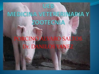PORCINO ALVARO SALTOS
Dr. DANILOS YANEZ
 