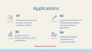 Comprehensive Overview of 2D Polyacrylamide Gel Electrophoresis in ...