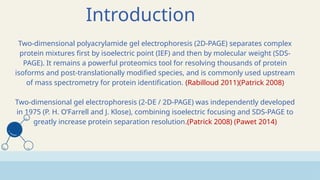 Comprehensive Overview of 2D Polyacrylamide Gel Electrophoresis in ...