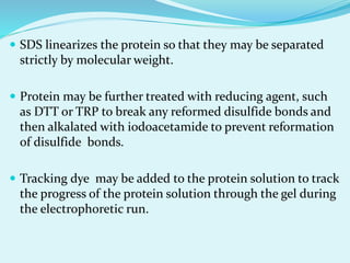  SDS linearizes the protein so that they may be separated
strictly by molecular weight.
 Protein may be further treated with reducing agent, such
as DTT or TRP to break any reformed disulfide bonds and
then alkalated with iodoacetamide to prevent reformation
of disulfide bonds.
 Tracking dye may be added to the protein solution to track
the progress of the protein solution through the gel during
the electrophoretic run.
 
