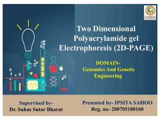 Two Dimensional
Polyacrylamide gel
Electrophoresis (2D-PAGE)
Supervised by-
Dr. Suhas Sutar Bharat
Presented by- IPSITA SAHOO
Reg. no- 200705180160
DOMAIN-
Genomics And Genetic
Engineering
 