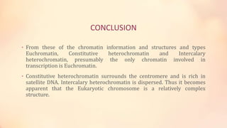 CONCLUSION
• From these of the chromatin information and structures and types
Euchromatin, Constitutive heterochromatin and Intercalary
heterochromatin, presumably the only chromatin involved in
transcription is Euchromatin.
• Constitutive heterochromatin surrounds the centromere and is rich in
satellite DNA. Intercalary heterochromatin is dispersed. Thus it becomes
apparent that the Eukaryotic chromosome is a relatively complex
structure.
 