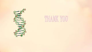 Heterochromatin and euchromatin mains