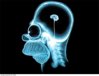 Sunday, November 22, 2009
 