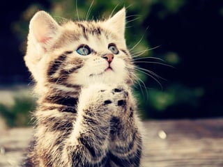 MALICIOUS THREATS, (IN)SEGURIDAD VULNERABILITIES Y ATAQUES AND DE DEFENSES I.M. EN ENTORNOS IN WHATSAPP CORPORATIVOS 
AND MOBILE I.M. PLATFORMS 
CONECTACON SHMOOCON 2014 
2014 
 