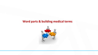 Word parts & building medical terms
 