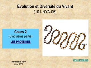 Bernadette Féry
Hiver 2007
Évolution et Diversité du Vivant
(101-NYA-05)
Cours 2
(Cinquième partie)
LES PROTÉINES
Une protéine
 