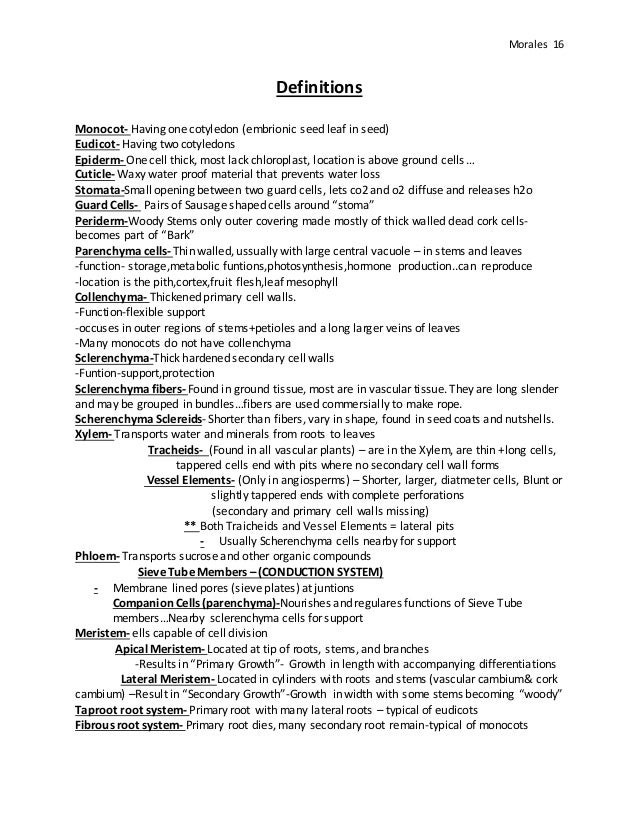 H19-102_V2.0 Musterprüfungsfragen
