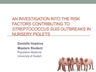 AN INVESTIGATION INTO THE RISK
FACTORS CONTRIBUTING TO
STREPTOCOCCUS SUIS OUTBREAKS IN
NURSERY PIGLETS
Danielle Hopkins
Masters Student
Population Medicine
University of Guelph
 