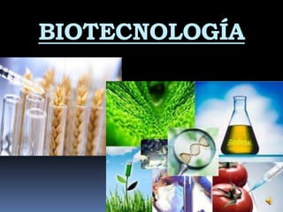 BIOTECNOLOGÍA
 