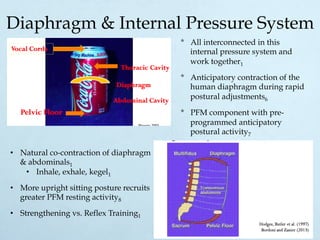 Diaphragm & Internal Pressure System
•  Natural co-contraction of diaphragm
& abdominals1
•  Inhale, exhale, kegel1
•  More upright sitting posture recruits
greater PFM resting activity8
•  Strengthening vs. Reflex Training1
*  All interconnected in this
internal pressure system and
work together1
*  Anticipatory contraction of the
human diaphragm during rapid
postural adjustments6
*  PFM component with pre-
programmed anticipatory
postural activity7
 