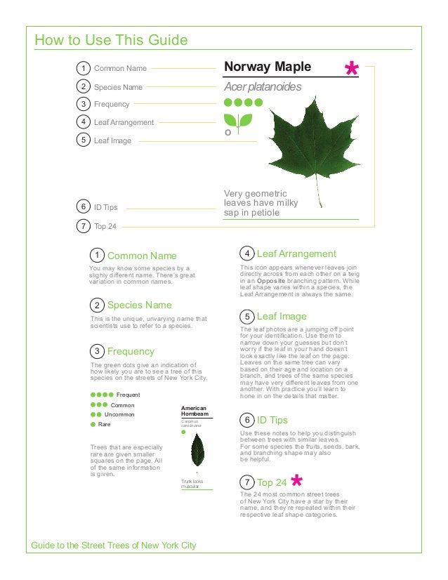 Evergreen : A Guide to Writing with Readings by Susan Fawcett (2013, Paperback,… Evergreen : A Guide to Writing with Readings by Susan Fawcett (2013, Paperback,…