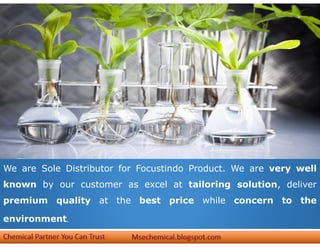 We are Sole Distributor for Focustindo Product. We are very well
known by our customer as excel at tailoring solution, deliver
premium quality at the best price while concern to the
environment.
 
