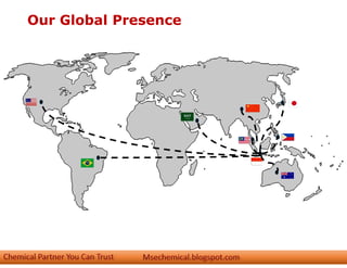 Our Global Presence
 