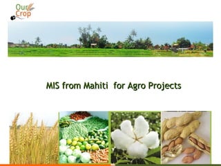 MIS from Mahiti for Agro ProjectsMIS from Mahiti for Agro Projects
 
