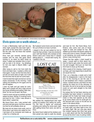 Reflections on a cats daily life www.catpawsnewsletter.com2
It was a Wednesday night just like any
other night, except this was trash night. I
got home at the same time I usually do,
fed the cats, then let those that wanted
out outside.
Elvis had just recently started going
outside and he was real good about
coming in, so when he didn't show up
when I called and whistled (this is how I
call my cats in for dinner - by whistling)
for him one night in March 2009, I got
worried.
After trying to call to him from both the
front and back door, I waited a while and
tried again. It was not the first time that a
cat did not come back at night, but it was
the first time that he did not come back.
I went to bed that night worried but not too
overly concerned. In the morning, I tried
calling and whistling for him again and he
did not appear.
I took my bath and got ready for work.
Mike went outside and did a walk around
the house whistling and yelling "little man,
Elvis" for him as he went. No Elvis.
I went to work and got so worked up that I
asked my boss, Sandy, if I could go home
and look for him. I think I was almost in
tears when I asked her.
My friend Carol, who I also worked with
and who had also given me Elvis, assured
me that he will probably show up.
My boss let me leave work early, and no
Elvis when I got home and called for him.
I sat down at my computer and made up
a flyer for a missing cat.
Elvis goes on a walk about ...
Elvis at 6 months old - at home taking a nap with Mike. Elvis back home again safe and sound.
My husband came home and we took the
file up to Kinko's to have it printed.
I stayed in the car and waited for him to
have the flyer printed, I was too emotional
and I still had friends who worked at that
Kinko's store and I knew that if I started
talking about it ... I would start crying. So,
I waited in the car.
Copy of the poster of Elvis we had printed.
Lost Cat
Name: Elvis
short Hair Nuetered Male Cat,
Yellow W/strips, 6 Months old
Please Call Mike @ 816-763-3797
or Cell 816-352-7097
10708 College ave
(lost in st. Catherine’s area)
and look for him. My friend Alicia, from
Kinko's, also came over one of those
nights to walk and looked for him. We
walked up and down the blocks calling his
name and once or twice I thought I heard
a cat meowing, but could never pin point
where it was coming from.
Those first few nights I cried myself to
sleep. I would start to think about him,
how he liked to get under the covers with
me and snuggle. He'd purr so hard that
he'd have to slurp up the drool.
After a week of him missing, I hadn't given
up hope, yet I was beginning to doubt that
we would find him.
Then, on a Saturday, a week and a half
after he disappeared, I went to the back
door in the morning to call the cats in
to eat breakfast and I heard a panicked
meow. I looked around, and there he was
sticking his head out of the doorway of
the shed. He ran to me as fast as his legs
could run and went straight to the food
bowl to eat.
He looked like he had been starving and
probably had been locked in someone's
garage until he finally had made enough
noise or they had opened up the door
to go some where and he could get out.
He returned with a scar on his left ear as
seen in the above photo.
Now my husband and I do not let him out
on trash night, any other night is fine, but
not trash night. We can now joke about
the incident saying that Elvis had gone
on a walk about just like the Australians
do but at the time it was no joking matter.
We walked the neighborhood that night
putting up posters and calling his name.
For the next 3 nights we continued
whistling and calling his name each night
after getting home from work, but still no
Elvis.
My friend Carol called all the shelters and
then joined one night to walk the streets
 
