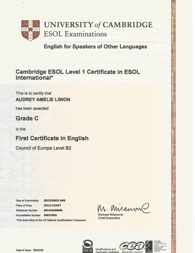 Cambridge visual data 3