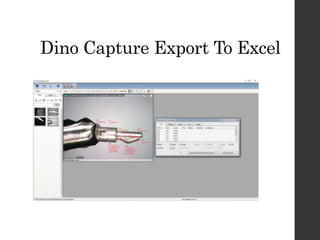 Dino Capture Export To Excel
 