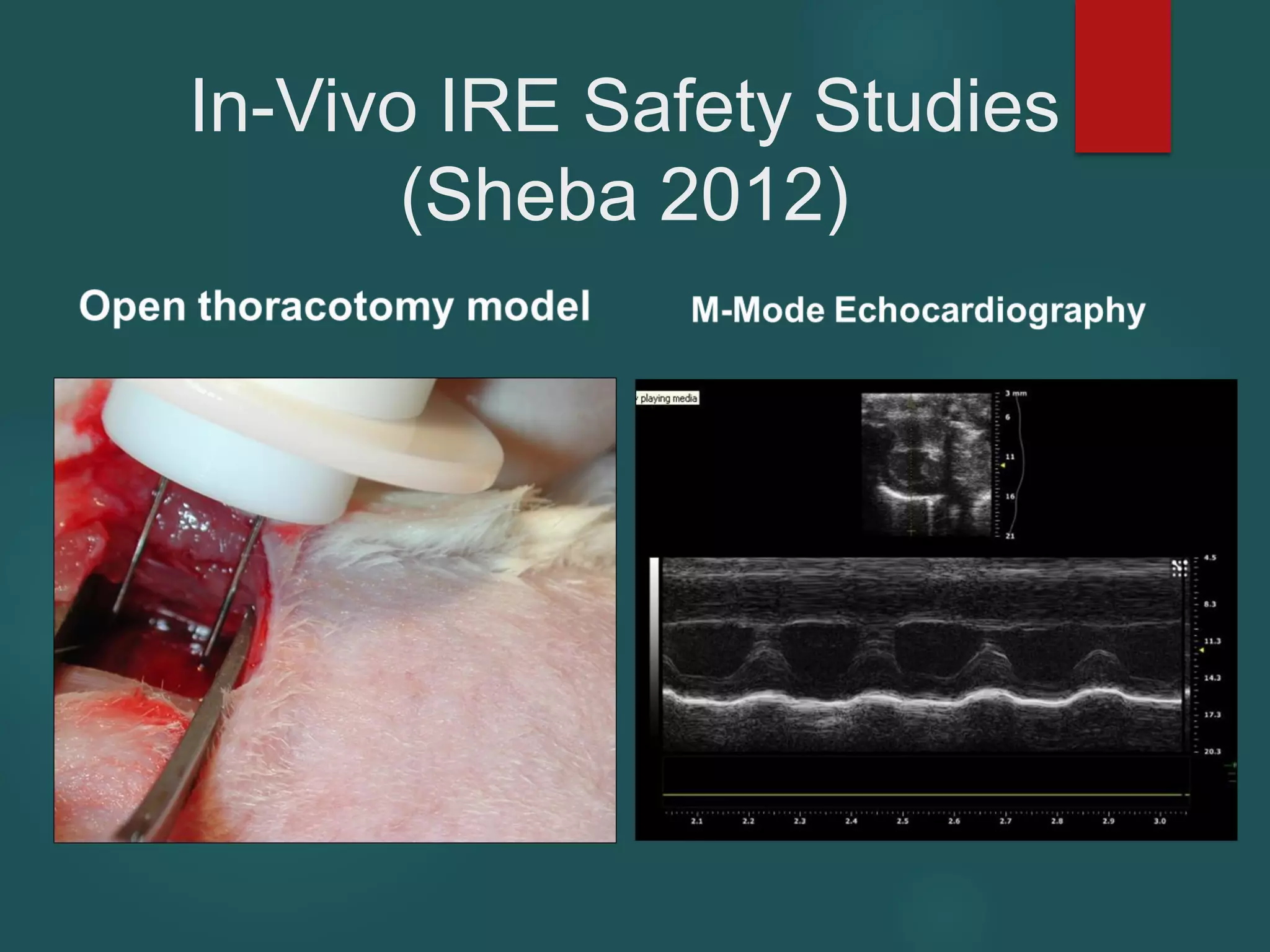 In-Vivo IRE Safety Studies
(Sheba 2012)
 
