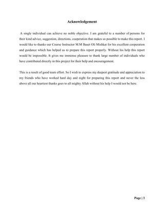 Final Report | PDF