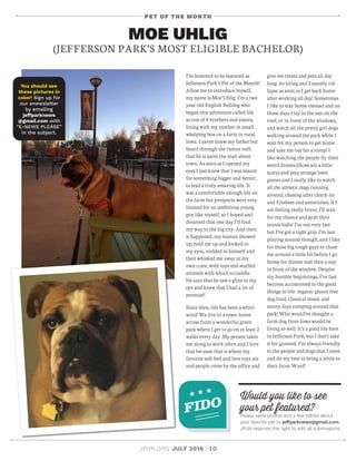 JPUN.ORG JULY 2016 | 10
PET OF THE MONTH
MOE UHLIG
(JEFFERSON PARK’S MOST ELIGIBLE BACHELOR)
I’m honored to be featured as
Jefferson Park’s Pet of the Month!
Allow me to introduce myself,
my name is Moe Uhlig. I’m a two
year-old English Bulldog who
began this adventure called life
as one of 8 brothers and sisters,
living with my mother in small
whelping box on a farm in rural
Iowa. I never knew my father but
heard through the rumor mill
that he is quite the man about
town. As soon as I opened my
eyes I just knew that I was meant
for something bigger and better;
to lead a truly amazing life. It
was a comfortable enough life on
the farm but prospects were very
limited for an ambitious young
guy like myself, so I hoped and
dreamed that one day I’d find
my way to the big city. And then
it happened, my human showed
up, held me up and looked in
my eyes, nodded to himself and
then whisked me away in my
own crate, with toys and stuffed
animals with which to cuddle.
He says that he saw a glint in my
eye and knew that I had a lot of
promise!
Since then, life has been a whirl-
wind! We live in a town-home
across from a wonderful green
park where I get to go on at least 2
walks every day. My person takes
me along to work often and I love
that because that is where my
favorite soft bed and best toys are
and people come by the office and
give me treats and pets all day
long. Its tiring and I usually col-
lapse as soon as I get back home
after working all day! Sometimes
I like to stay home instead and on
those days I lay in the sun on the
roof, or in front of the windows,
and watch all the pretty girl dogs
walking around the park while I
wait for my person to get home
and take me out for a romp! I
like watching the people fly their
weird drones (those are a little
scary) and play strange lawn
games and I really like to watch
all the athletic dogs running
around, chasing after chuck-its
and Frisbees and sometimes, if I
am feeling really brave, I’ll wait
for my chance and grab their
tennis balls! I’m not very fast
but I’ve got a tight grip. I’m just
playing around though, and I like
for those big tough guys to chase
me around a little bit before I go
home for dinner and then a nap
in front of the window. Despite
my humble beginnings, I’ve fast
become accustomed to the good
things in life: organic gluten free
dog food, classical music and
sunny days romping around that
park! Who would’ve thought a
farm dog from Iowa would be
living so well. It’s a good life here
in Jefferson Park, but I don’t take
it for granted. I’m always friendly
to the people and dogs that I meet
and do my best to bring a smile to
their faces. Woof!
You should see
these pictures in
color! Sign up for
our enewsletter
by emailing
jeffparknews
@gmail.com with
“E-NEWS PLEASE”
in the subject.
Would you like to see
your pet featured?
Please send photos and a few tidbits about
your favorite pet to jeffparknews@gmail.com.
JPUN reserves the right to edit all submissions.
FIDO
 