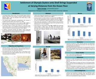 Settlement of Olympia Oysters onto Shell Strings Suspended
at Varying Distances from the Ocean Floor
Karla P. Arriaga, and Danielle Zacherl
Department of Biological Science, California State University, Fullerton
References
Results
Discussion
Acknowledgments
ResultsMethodsIntroduction
Objective and Hypothesis
Figure 4. Dock where shell strings were
suspended from located at JDMR in
Alamitos Bay, California.
Figure 5. Sample
shell string.
Figure 6. Karla Arriaga deploying shell strings at JDMR.
Figure 3. Olympia oyster settler.
• Determine whether suspending shell strings at varying distances from
the substrate affects oyster settlement. Determine which distance is
the most successful at recruiting oyster settlement.
• We hypothesized that the shell strings closer to the bottom of the
ocean floor would have higher settlement rates than the shell strings
suspended above the ocean floor.
• Twenty shell strings were suspended from a floating dock at Jack Dunster
Marine Reserve (JDMR) in Alamitos Bay, CA (Fig. 4).
• Strings consisted of 15 shells stacked on an 18-inch wire rope (Fig 5.) and
were tied (with polypropylene rope) to eyebolts that were screwed to
the side of a floating dock at JDMR and deployed into the water (Fig 6.).
• Shell strings were suspended at 4 different distances from the bottom
substrate so that each treatment group rested on the mud when the low
tide reached 0, -1, -2, or -3 ft. MLLW.
• Shell strings were collected after 24 days (Figs. 7 and 8), were individually
rinsed through a 300μm sieve, and shells were examined under
dissecting microscopes for settlement of native and non-native oysters,
the tube worm Spirorbis bifurcatus and the bryozoan Watersipora
subtorquata.
• McGraw, K. A. 2009. The Olympia oyster, Ostrea lurida Carpenter 1864
along the west coast of North America. Journal of Shellfish Research.
28: 5-10.
• Baker, P (1995) Review of Ecology and Fishery of the Olympia Oyster,
Ostrea lurida with Annotated Bibliography. Journal of Shellfish Research
2:501-518.
• Coen, L. D, Brumbaugh, R. D, Bushek, D., Grizzle, R., Luckenbach, M. W,
Posey, M. H, Powers, S. P, Tolley, S. G (2007) Ecosystem Services Related
to Oyster Restoration. Marine Ecology Progress Series 341:303-307.
Future Studies
Figure 10. Settlement of Spirorbis bifurcatus per shell string as a function treatment
during a 24 day deployment (ANOVA, n=5, p=0.53). Error bars=1 SE
Figure 11. Settlement of Watersipora subtorquata per shell string as a function
treatment during a 24 day deployment (ANOVA, n=5, p=0.92). Error bars= 1SE
Figure 9. Native Olympia oyster, Ostrea lurida, settlers per shell string as function of
treatment during a 24 day deployment (ANOVA, n=5, p=0.11). Error bars= 1 SE.
• Settlement of oysters (O. lurida), Spirorbis bifurcatus, and Watersipora
subtorquata were not affected by the distance the shell strings were
suspended above the substratum.
• Shell strings were buoyant enough (due to the polypropylene rope) that
during tidal exchange they did not sink to the bottom and so did not
hang vertically nor sit at the bottom of the mudflat as long as we
anticipated.
• Shells strings should be weighted down into a vertical position so that
tidal currents do not affect positioning.
http://farm6.static.flickr.com/5014/5431076083_52aa9a3966.jpg
Figure 2. Watersipora
subtorquata.
Figure 1. Spirorbis
bifurcatus.
http://content60.eol.org/content/2010/11/27/14/48236_580_360.jpg
• Thanks to all of the Zacherl lab members, the city of Long Beach, Lenny
Arkinstall, CSUF Department of Biology, STEM2, and the Dean Scholar
Program. Funds were provided by Department of Education Grant #
P031C110116 and NOAA-RCC Project # 11-058-01.
• The Olympia Oyster, Ostrea lurida, is the only oyster species native to
western North America and is present in southern California estuaries
(McGraw, 2009). It was once abundant from Alaska down to Baja
California (Baker, 1995).
• The Olympia oyster experienced overexploitation that resulted in
ecological extinction before 1930 (Trimble et al., 2009).
• Oysters provide complex habitat for other organisms (Figs. 1 and 2), as
their beds support rich epifaunal communities (Coen et al., 2007).
• A restoration project in Alamitos Bay, California is using dead oyster
shell to build a bed on the mudflat to increase the amount of hard
substrate available for recruiting young oyster settlers (Fig. 3) .
• In addition, community members will “garden” oysters using shell
strings suspended from docks throughout the bay. Oysters recruited to
shell strings will be concentrated onto the restored bed.
Figure 7. Karla Arriaga collecting the shell
strings after 24 days.
Figure 8. Sample shell string after
collection.
0
1
2
3
4
5
6
0 ft - 1 ft -2 ft -3 ft
#O.lurida/shellstring
Treatment
0
100
200
300
400
500
600
0 ft - 1 ft -2 ft -3 ft
#Spirorbisbifurcatus/shell
string
Treatment
0
10
20
30
40
50
60
70
0 ft - 1 ft -2 ft -3 ft
#Watersipora
subtorquata/shellstring
Treatment
 
