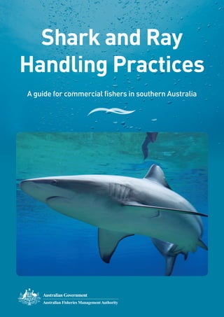 SHARK AND RAY HANDLING PRACTICES 1
Shark and Ray
Handling Practices
A guide for commercial fishers in southern Australia
Australian Fisheries Management Authority
 