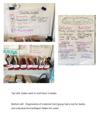 Top Left: Codes used to mark facts in books.
Bottom Left: Organization of materials: Each group had a tub for books,
and individual Animal Report folders for notes.
 